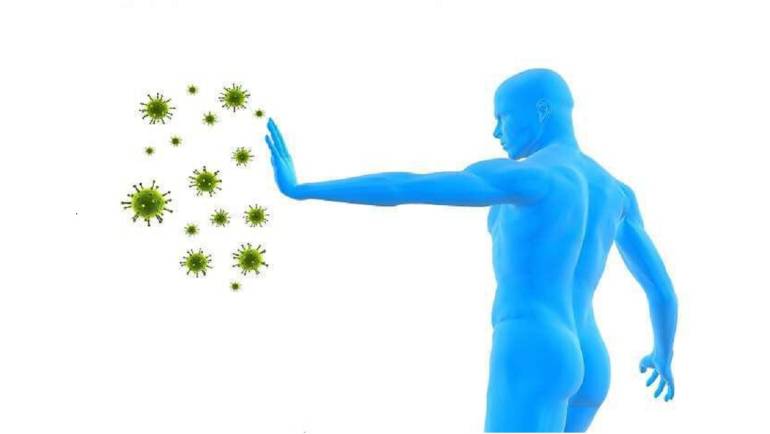 Θωράκισε το Ανοσοποιητικό σου με τη Δύναμη της Φύσης